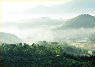 高明皂幕山(图)